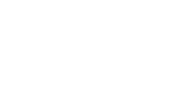 Introspection
